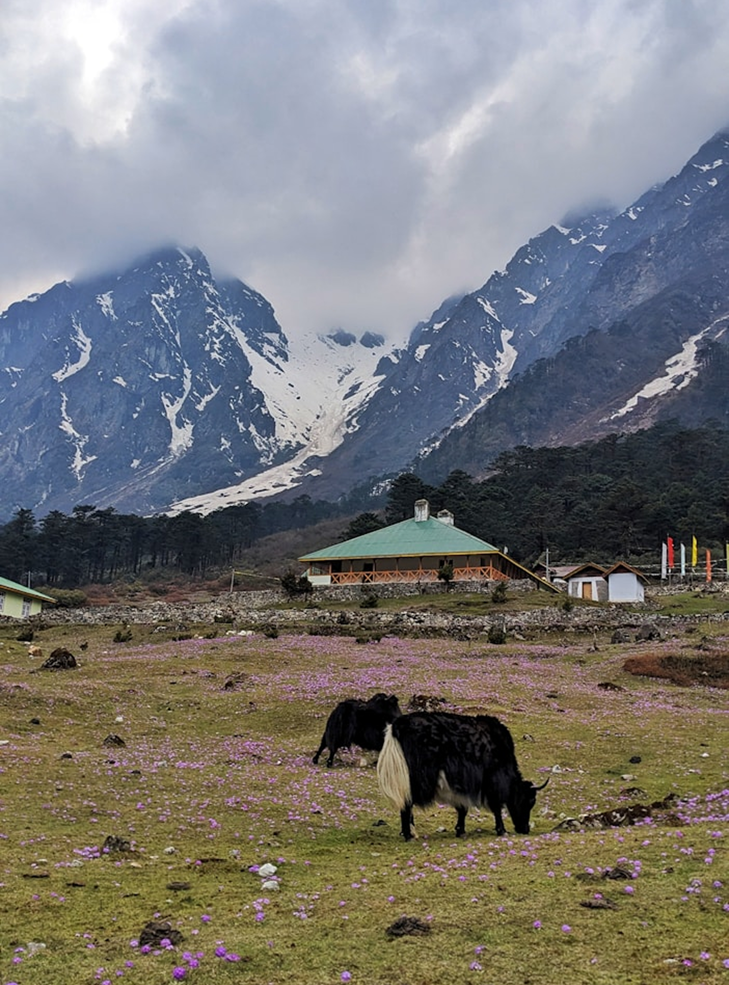 Nepalvision trek Faq